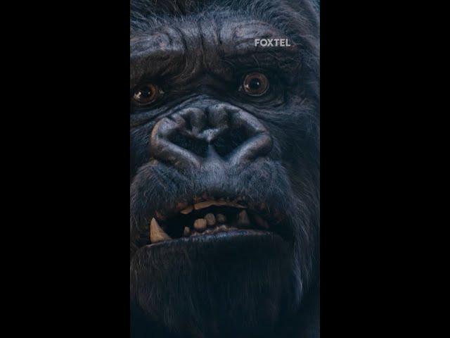 The one face you would not want to see after waking up. #KingKong