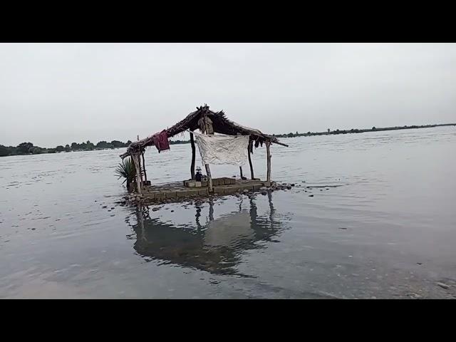 Indus River || Swabi Hund️