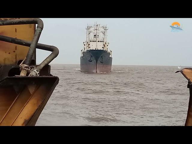 MV CHINA FROST (REEFER) Ship Beaching| Alang Ship Breaking Yard