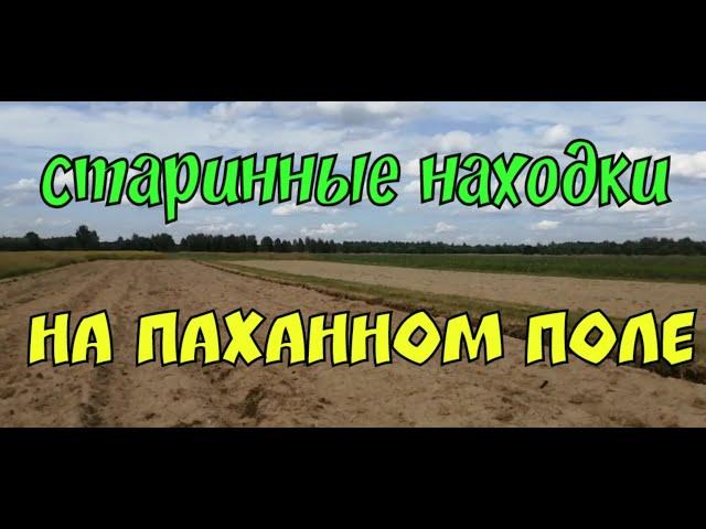 №121 СТАРИННЫЕ НАХОДКИ НА ПАХАННОМ ПОЛЕ. ПОИСК МОНЕТ И СТАРИНЫ С ЭКВИНОКС 800. КОП 2022.