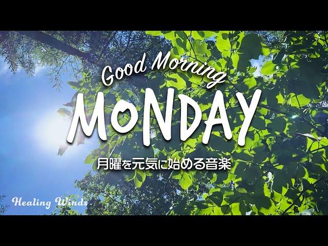 月曜日を元気に始められる音楽 Good Morning Monday  Start Your Day With Positivity