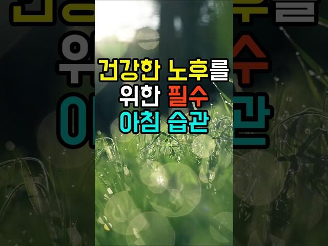 건강한 노후를 위한 필수 아침 습관 | 노후 | 노후준비ㅣ건강ㅣ아침습관