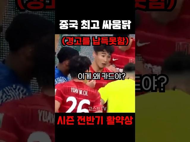 중국 최고 싸움닭의 화끈한 전반기 활약상ㄷㄷㄷ #shorts