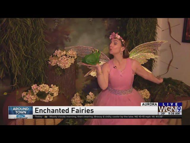 Around Town - Enchanted Fairies