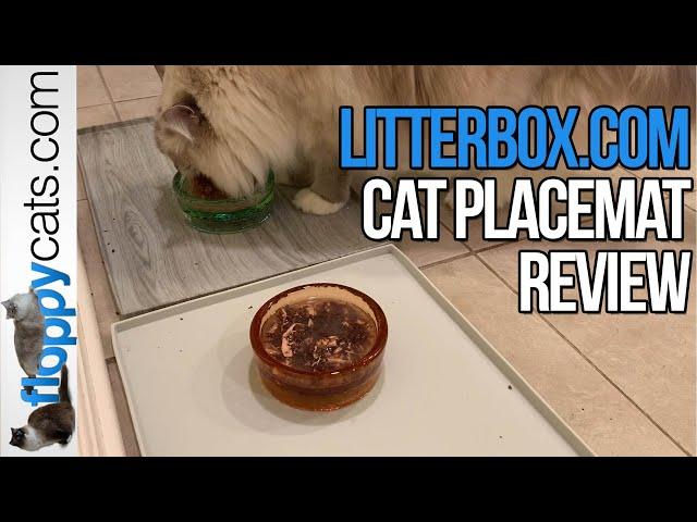 Cat Food Mat with Lip: Litterbox.com Pet Food Mat Product Review