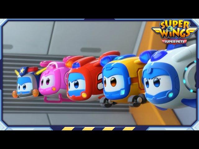  SUPERWINGS5 Super Pets! Full Episodes Live 