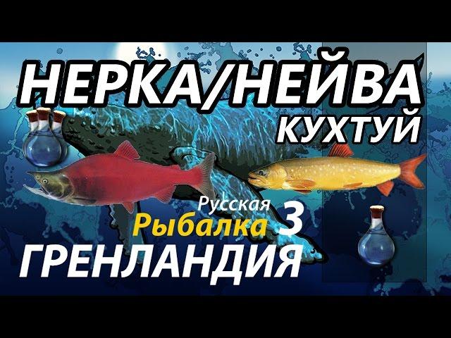 Нерка Нейва Поморник Кухтуй  / РР3 [Русская Рыбалка 3 Гренландия]