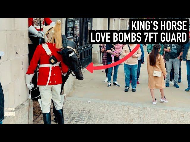 HORSE REALLY HAPPY TO SEE 7FT GUARD! | Horse Guards, Royal guard, Kings Guard, Horse, London