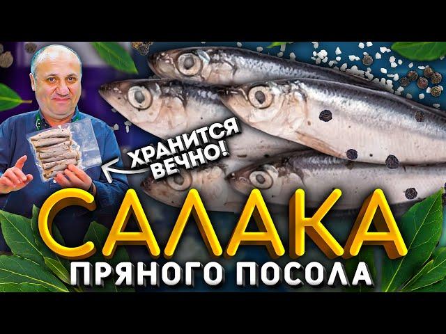 Как вкусно засолить САЛАКУ дома! Хранится целый ГОД! Быстрый РЕЦЕПТ от шеф-повара Ильи Лазерсона