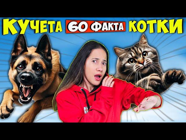 60 Факта за КУЧЕТАТА и КОТКИТЕ