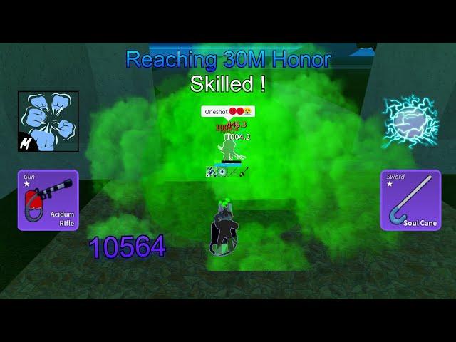 Getting 30M Honor Using Skilled Acidum Rifle Build (Blox Fruits Hunting)