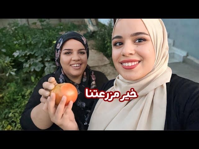 فلوق عائلي | واخيراً خواتي بقوا يمي ️