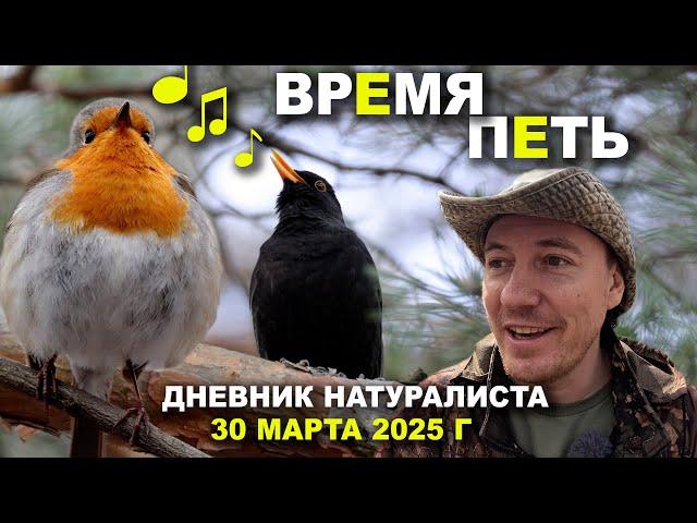 Бирюлёвский лесопарк. Дневник натуралиста 30.03.2025