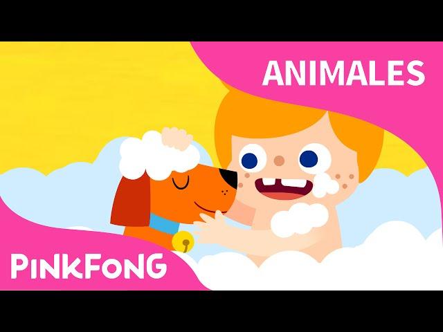 Mi Mascota, Mi Amigo | Animales | PINKFONG Canciones Infantiles