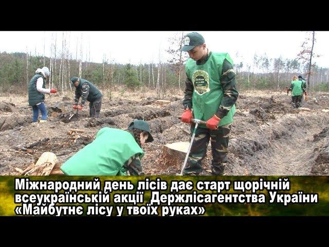 Долучайся до лісівників! Посади своє дерево!