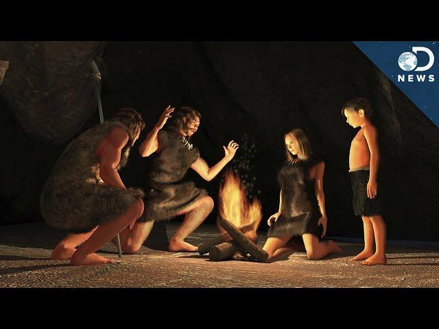 What Did Prehistoric Humans Actually Eat?