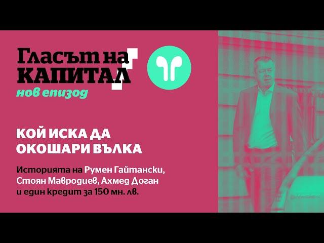 Подкаст | Кой иска да окошари Вълка