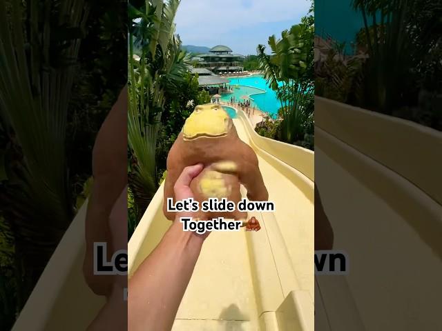 Squishy Monkey's Epic Water Slide Adventure