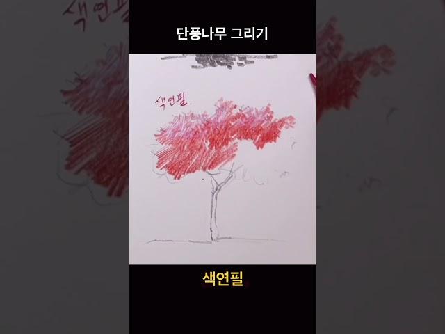 나무그리기#단풍나무#drawing #티노씨실시간