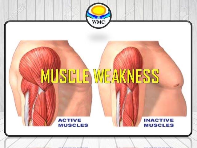 The best Treatment For Muscle weakness In Ipoh