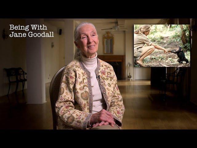 Being with Jane Goodall