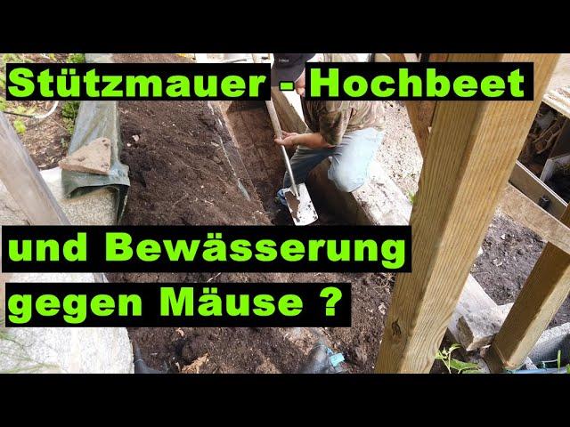 Bewässerung für Hochbeet bauen - wirkt auch gegen Mäuse?