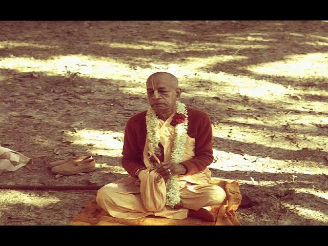 [ Three Hours ] Srila Prabhupada Chanting -Japa with Nature and birds - {{16 Rounds Maha Mantra}}