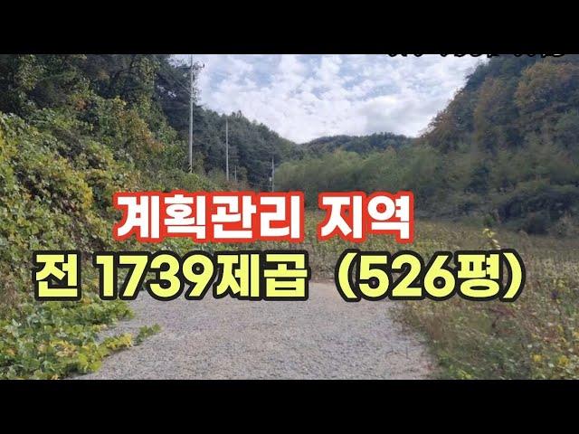 문의 010-2569-0098  계획관리지역  전.체류형쉼터 추천 .마을과 떨어져  독립적으로 진입하는곳 .작은 개울옆의 콩밭#싼땅#봉화땅#경북땅매매#오지땅#5도2촌