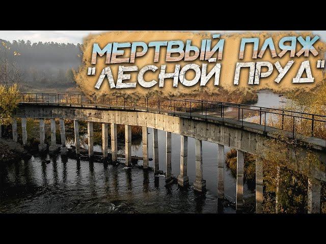 Пляж "ЛЕСНОЙ ПРУД" города Барнаул | Булыгинский Пляж Превратился в Болото | Дамба на Булыгино