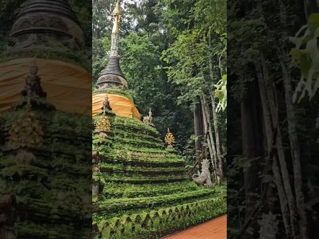 Chiang Mai's Enchanting Green Temple  Thailand