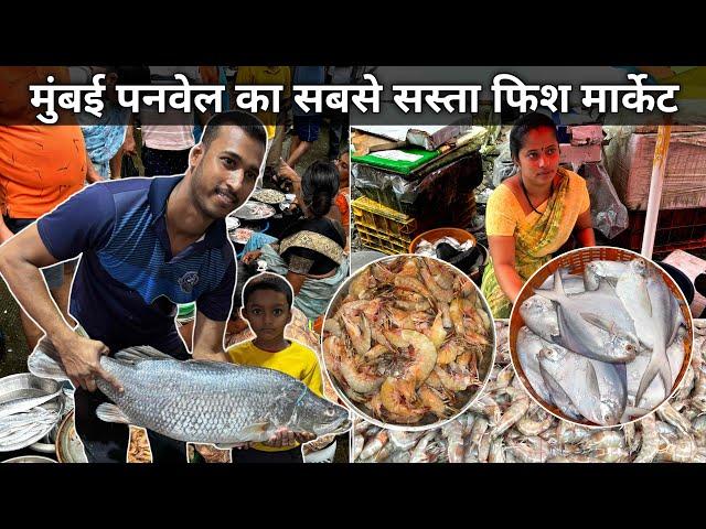 Panvel Fish Market Latest Video | Panvel Koliwada Fish Market | Wholesale Fish Market In Mumbai