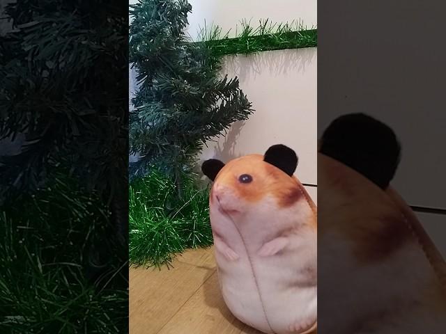 привет привет #блоптоп #юмор #tiktok #memes #шортс #funny #мем #прикол #мемы #миша