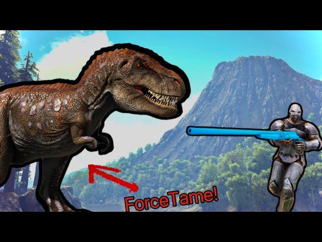 Top 10 Most Useful Admin Commands In Ark Survival Evolved!