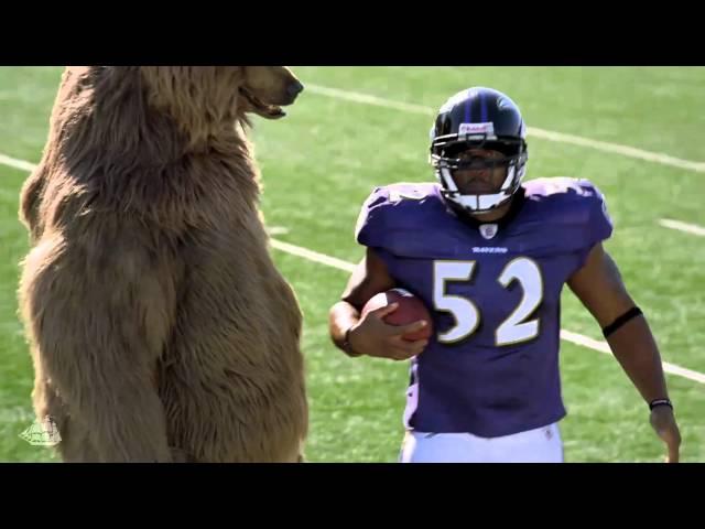 Old Spice - Bear starring NFL Superperson Ray Lewis