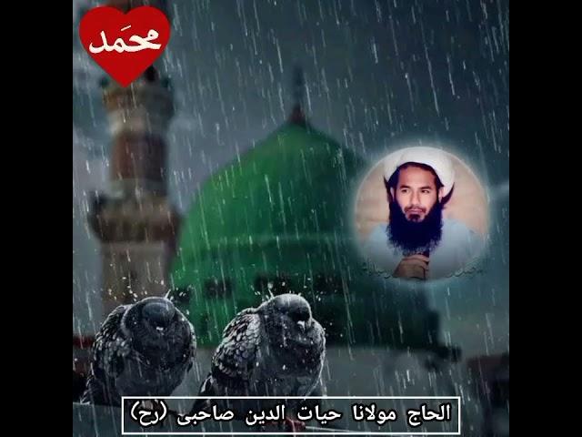سخنان گهربار️شهید مولوی حیات الدین صاحبی رح️ Molavi Hayatuddin Sahebi Хаятуддин