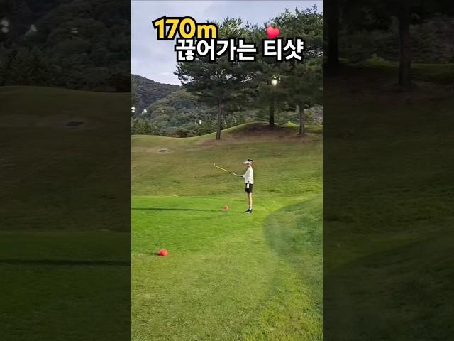 티샷에서 우드 치는 골프입문 3년차^^^ #우드샷 #goodshot #굿샷 #golf #골프라운딩 #골프스윙 #드라이버샷 #golfswing #golfer #골프팁 #티샷