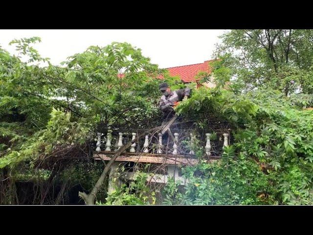 HELP Clean up the horrifying abandoned house of 100 years of Overgrowth - Satisfying transformation