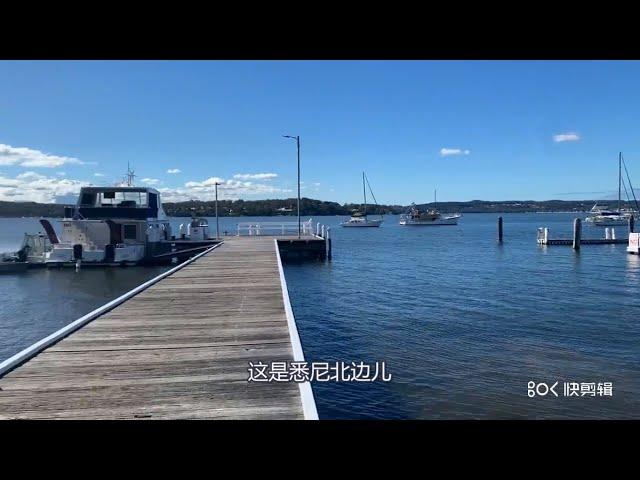 海景公寓300万一套 啥是天体海滩 我不懂你莫问