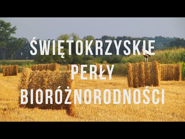 Mokradła dla różnorodności biologicznej