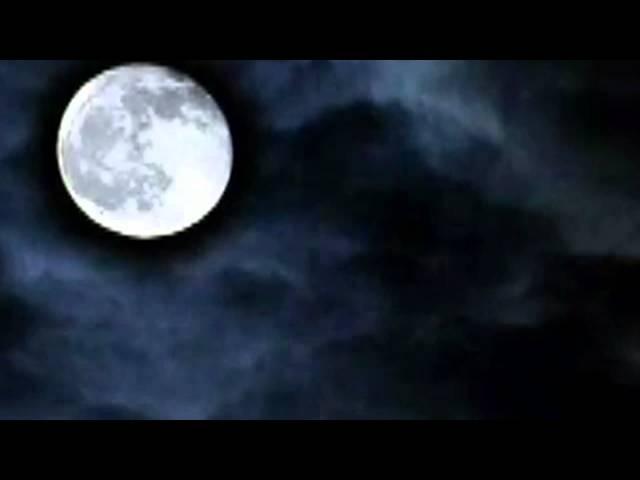 Sail Along The Silvery Moon - Billy Vaughn