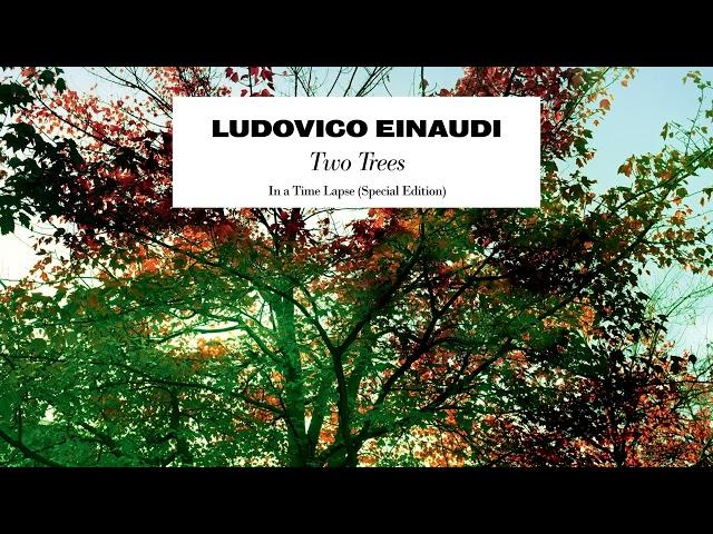 Ludovico Einaudi - Two Trees (Official Audio)