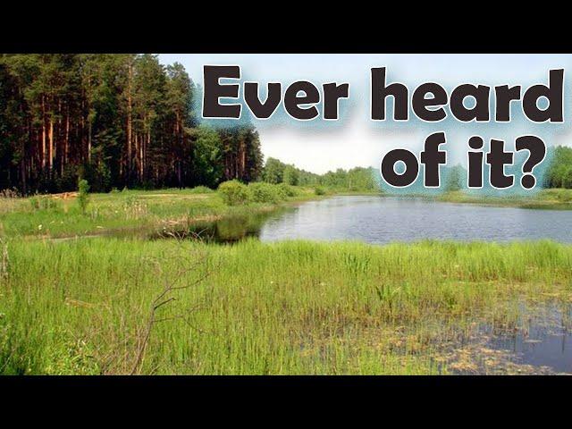 The Gate to Siberia: Kurgan Oblast