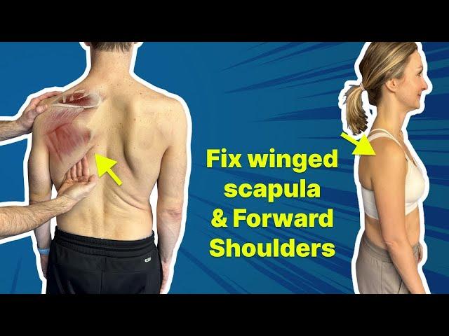 The #1 Exercise to Fix Winged Scapula & Forward Shoulder - GET OUT of PAIN!