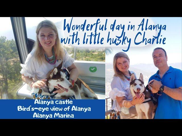 Wonderful day in Alanya with cute husky puppy Charlie(Alanya Travel Vlog)