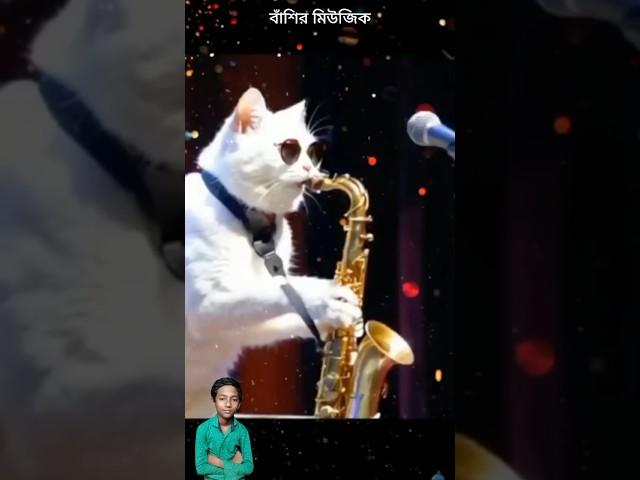 Cat music #bollywood #song #hindisong #saxophoneinstrumentalmusic #love #music #lipika