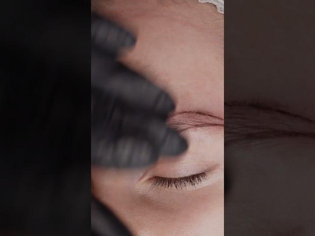 Hardware Technique vs Microblading What's the Difference | PMU Master Ekaterina Pashkanova Explains