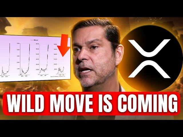 Urgent Update For People Holding XRP - Raoul Pal