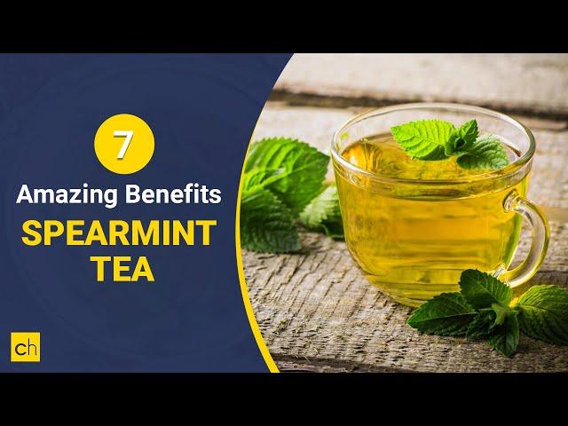 7 Amazing Benefits of Spearmint Tea- Credihealth