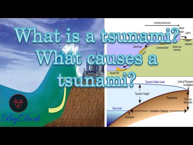 What is a tsunami? What causes a tsunami?