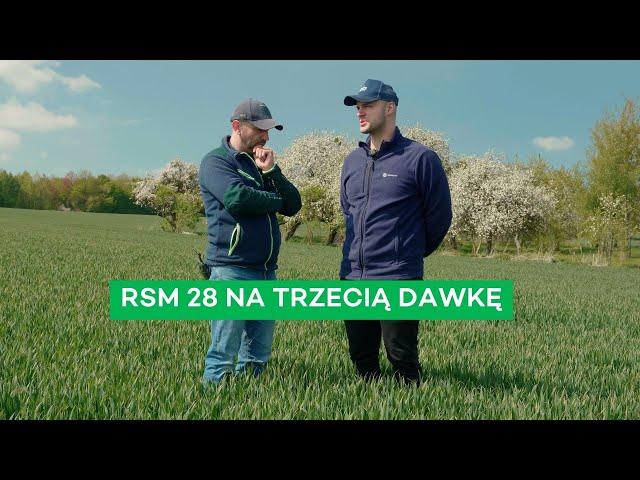 RSM W TRZECIEJ DAWCE BEZ WĘŻY - CO ON NAROBIŁ?! - #311 nawozy nonstop